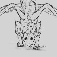 Awouay (@awouay) 's Twitter Profile