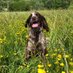 Ruth Crompton (@ruthcrompton5) Twitter profile photo Ruth Crompton (@ruthcrompton5) Twitter profile photo