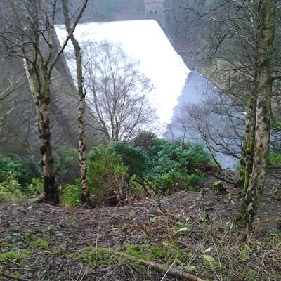 graemehadfield's profile picture. speedway fan,rugby league fan