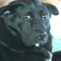 Kelly Psmaggi22 (@psmaggi22) 's Twitter Profile