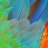 tererojas76's profile image