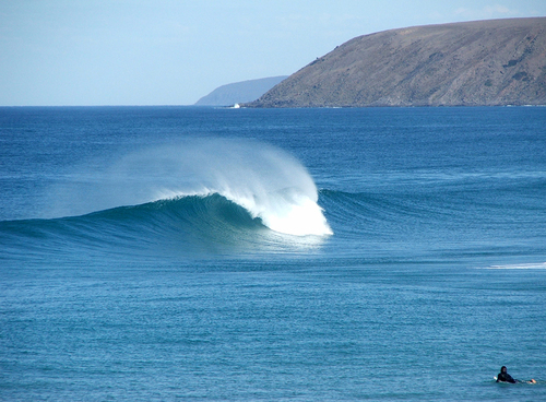 Surfing South Aust