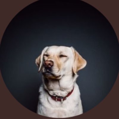 RacismDogReal's profile picture. Trained to sniff out racist and bark at it, screenshot anything that is possibly racist and @ or DM me!