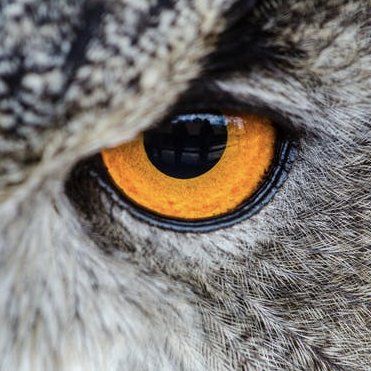 DavidHashMiller's profile picture. InfoSec professional and fiction writer. Aiming to explore, educate, entertain, and enrich our understanding of information security and society