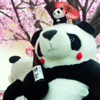かず (@kaz_ii11) 's Twitter Profile