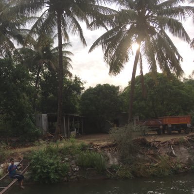 adhikk's profile picture. 