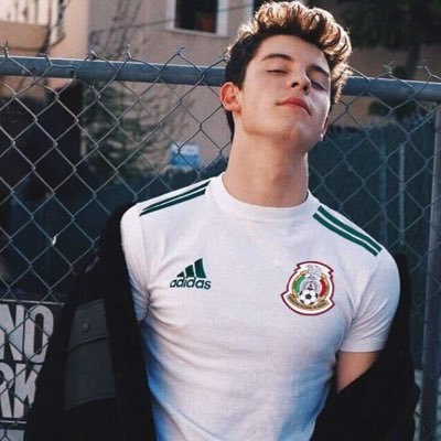 mendesmexico1's profile picture. MendesArmy 💖