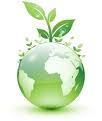Information on all things green! Useful and helpful tips on how you can play your part the make the world a better place now and in the future!