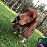 María Fernanda (@cyverfer) 's Twitter Profile