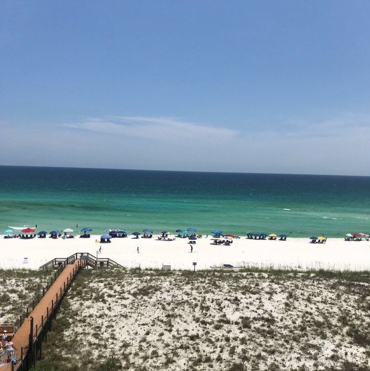 UKtrav23's profile picture. #BBN #23 #JORDAN #JUMPMAN #8  if you don't like what I've got to say then don't read my shit #gobigblue #Ibleedblue