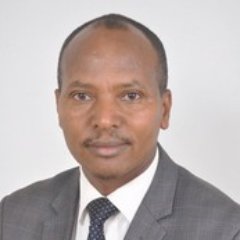 Africa Regional Lead for Forestry & NbS, GGGI. Former: 1. Country Representative, GGGI Ethiopia, and 2. Minister, Environment, Forest and Climate Change, FDRE
