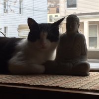 Giuseppe de Sancti (@kiddamnesiac) 's Twitter Profile Photo