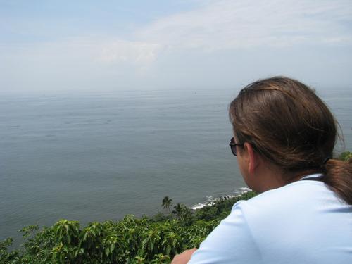 IonutH's profile picture. Database developer