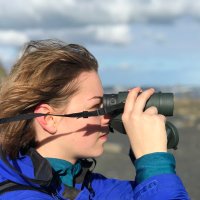 Abby Bratt (@labbbratt) 's Twitter Profile