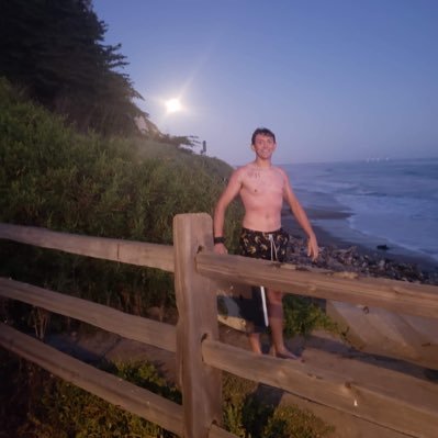 panda_pellanda's profile picture. imma be a cop soon, that’s about it