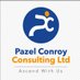 Pazel Conroy Consulting Ltd (@PazelConroy) Twitter profile photo