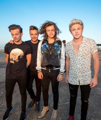 One direction and thier solo careers voting site