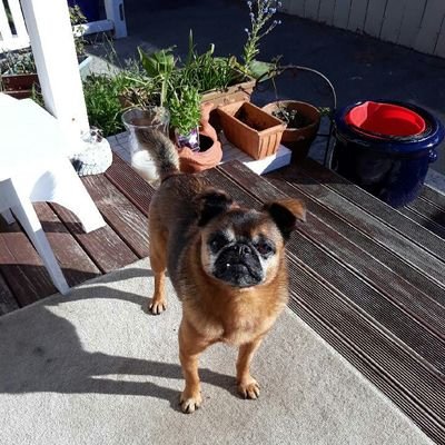 Hctor10968829's profile picture. life is not a dress rehearsal