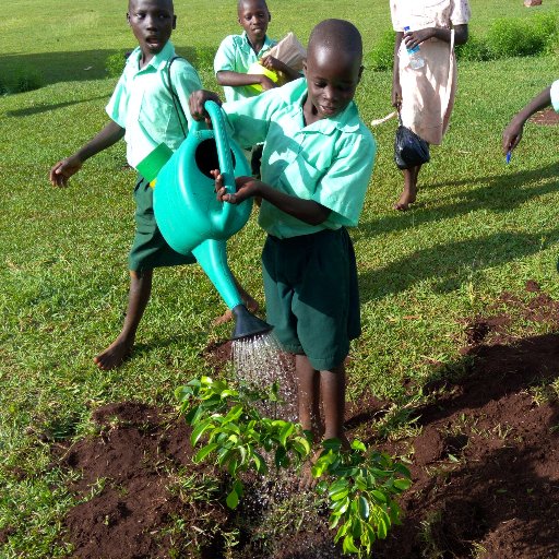 Greening Uganda is an environmental conservation & protection Non Profit Making Organisation Implementing Massive Tree Planting Campaigns in Uganda