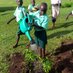 Greening Uganda (@Greening_Uganda) Twitter profile photo