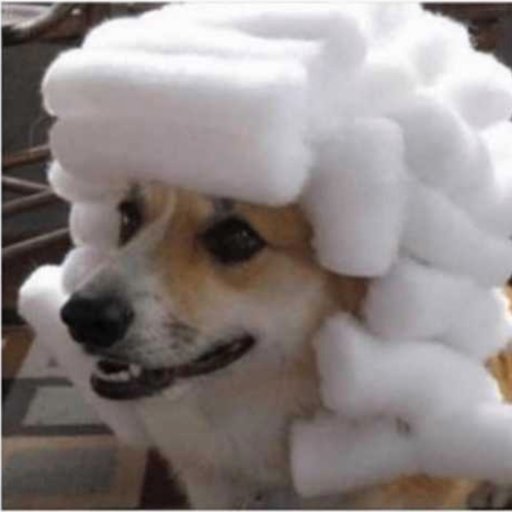 yourorgandonor's profile picture. 