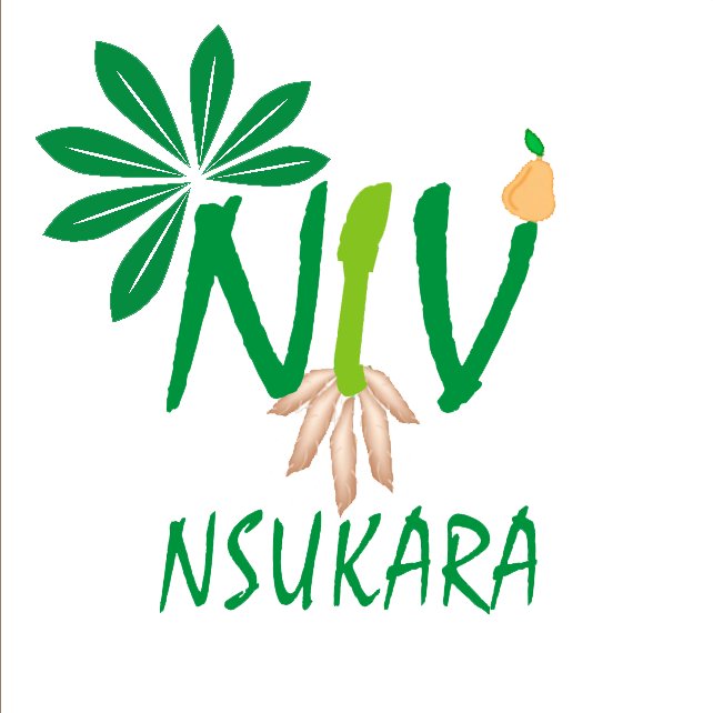 Nsukara Integrated Ventures  NIV is an agro-based business outfit dedicated to core planting of  cassava and poultry farms