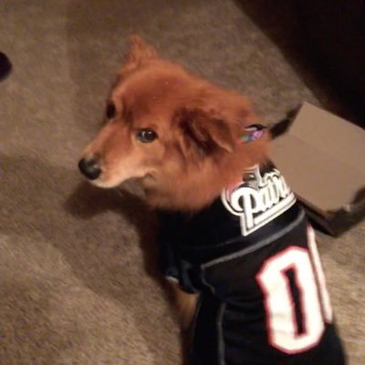 itsmedebbieb's profile picture. 