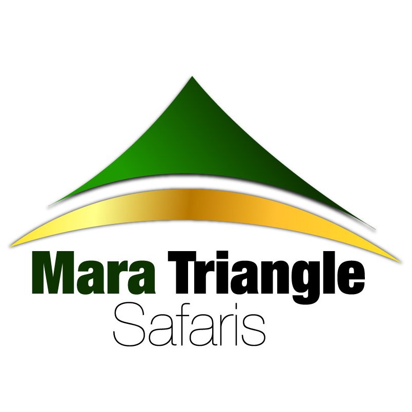 We are one of the best leading Travel Company in Kenya. We organize both budget and luxurious Safaris on Game watching, Camping safaris, Hiking, Horse riding...