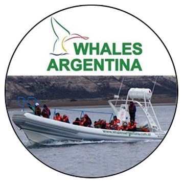 Avistaje de Ballenas - Whale Watch