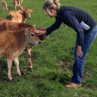 Lesley Innes (@lesleyinnes3) 's Twitter Profile Photo Lesley Innes (@lesleyinnes3) 's Twitter Profile Photo