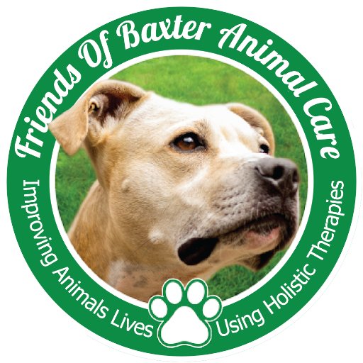 A good cause organisation devoted to revolutionising animal care in the UK through holistic therapy and complementary treatments. #FriendsOfBaxter