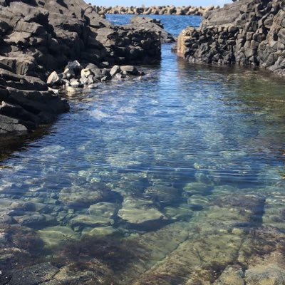 安田 昌平 Yasshun Twitter 安田 昌平 Yasshun Twitter
