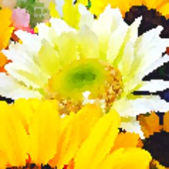 Ｓの字P/企画さんのプロフィール画像