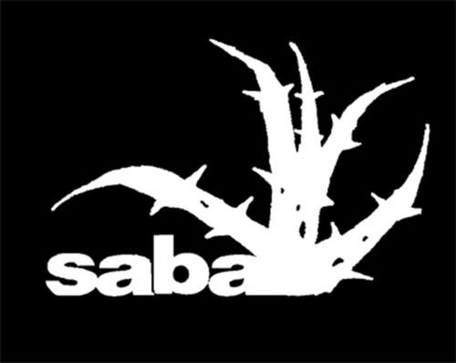 sabaprod's profile picture. LATINANDO festival, 2è édition, Marseille 6-8.12.13