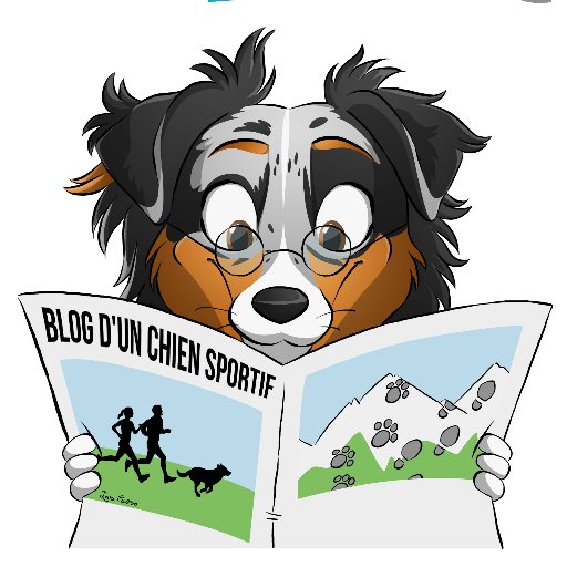 Capetcie's profile picture. Tweeter officiel du #blog Cap&cie :)  #blogger #canicross #running #dog #education