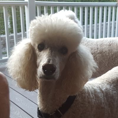 TandyParker2's profile picture. 