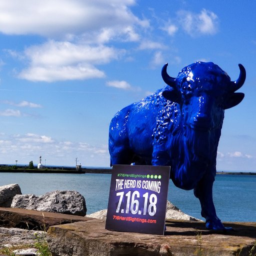 HerdSightings's profile picture. The Herd is Coming 7.16.18