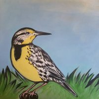 Meadowlark Music Festival (@meadowlarkfest) 's Twitter Profile