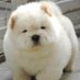 @dynamicDA1KUMA