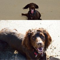 Mr Me (@doitrightdog) 's Twitter Profile