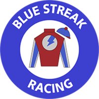 Blue Streak Racing, LLC (@bluestreakllc) 's Twitter Profile