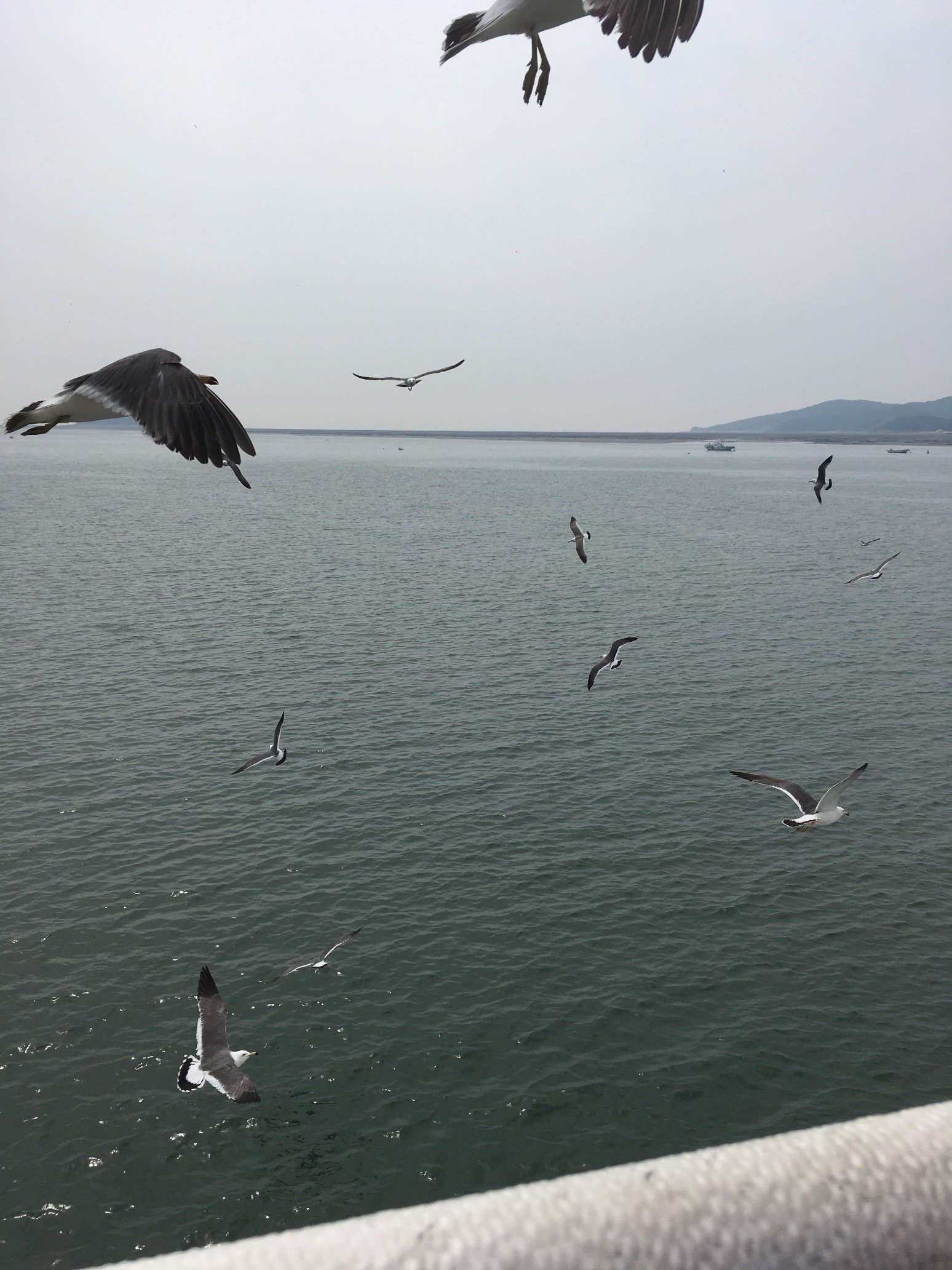 DKmeister0824's profile picture. Basketball is Life