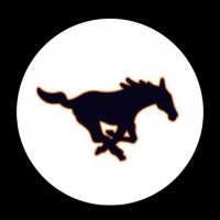 Sachse (@sachsemustangs) 's Twitter Profile