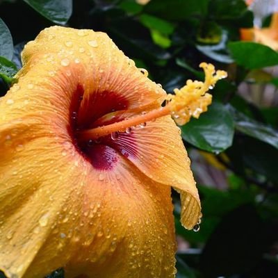 MyDailyThghts13's profile picture. 