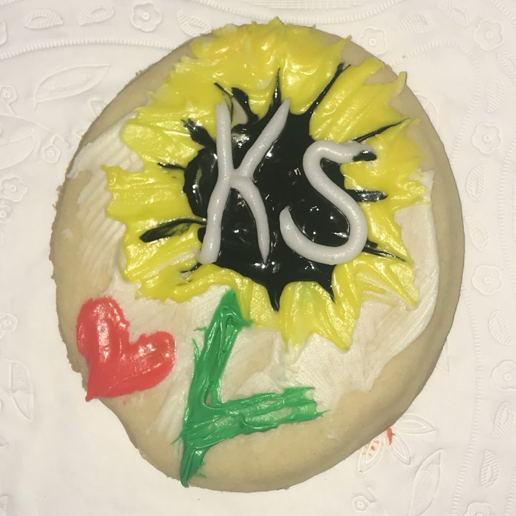 🎉celebrating KS women/gender non-conforming ppl w life/debate updates 🗣DMs open to everyone except cishet straight men telling us how to tweet #SunflowerState