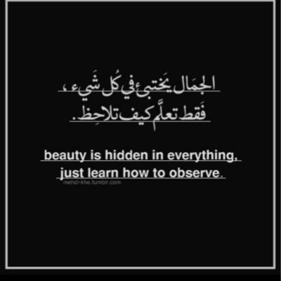 llollollo3's profile picture. 