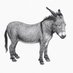 Okay Donkey Magazine (@okaydonkeymag) Twitter profile photo Okay Donkey Magazine (@okaydonkeymag) Twitter profile photo