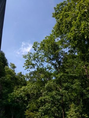 最近 ザ·レジェンドさんを、テレビで見て…気になりつつあります。色々教えて頂けたら嬉しいです。お友達になって下さい。無言でフォロー…すみません。
