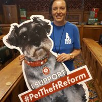 Lisa P (@lisaphipps15) 's Twitter Profile