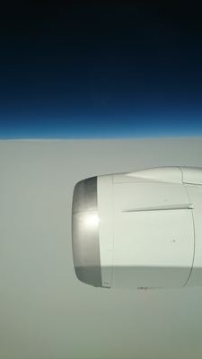 thebigfoxmetal's profile picture. オーディオ、おさんぽ、たまにキツネ。
仕事はほどほど…💦